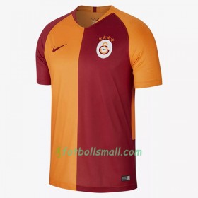 Galatasaray Fotbollströjor Hemma tröja 2018/19 Kortärmad